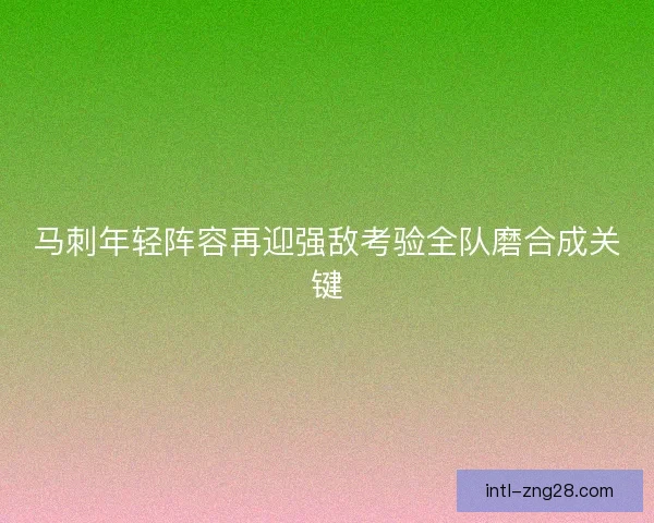 马刺年轻阵容再迎强敌考验全队磨合成关键 马刺年轻阵容再迎强敌考验全队磨合成关键